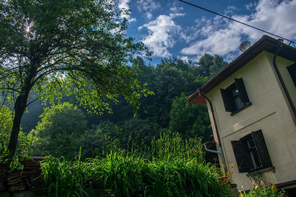 Verbena Hotel