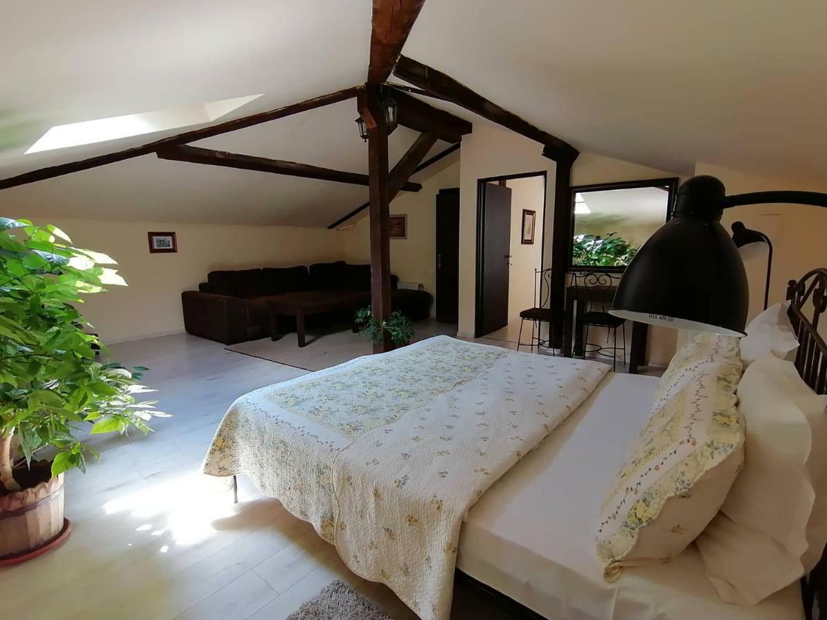 Verbena 3* Aprilți